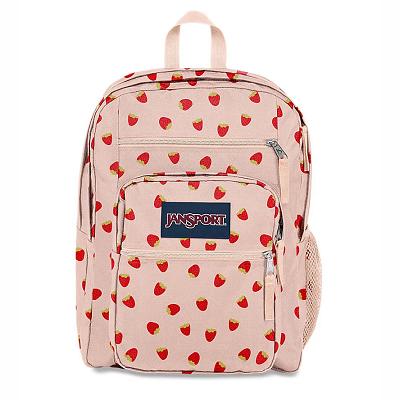 Pink JanSport BIG STUDENT Laptop Backpacks | IL_JS240