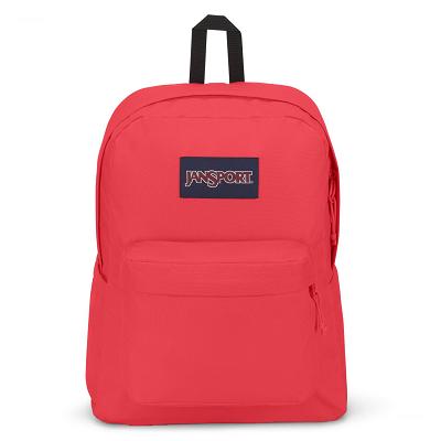 Pink JanSport SuperBreak® Plus Laptop Backpacks | IL_JS255