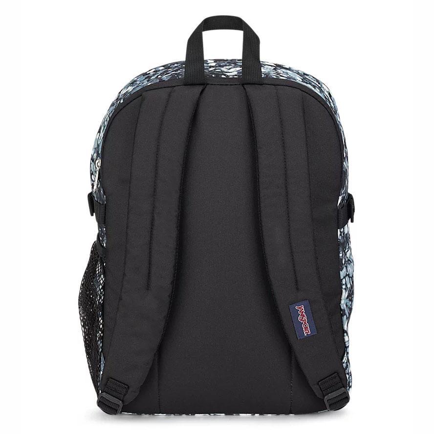 Blue / Black JanSport Main Campus School Backpacks | IL_JS017