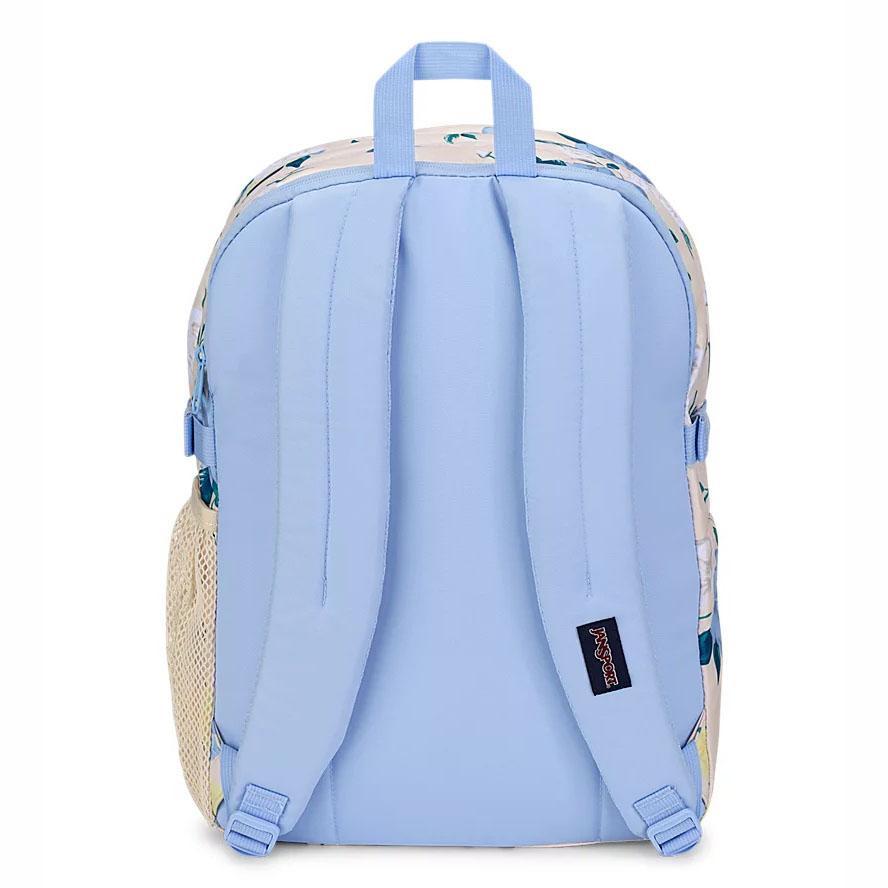 Blue / Yellow JanSport Main Campus School Backpacks | IL_JS064