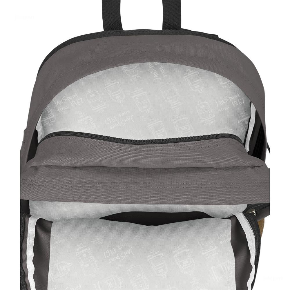 Grey JanSport Main Campus School Backpacks | IL_JS033