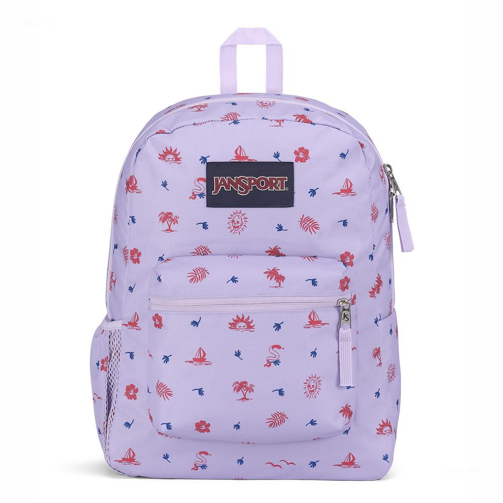 Light Purple JanSport CROSS TOWN School Backpacks | IL_JS436