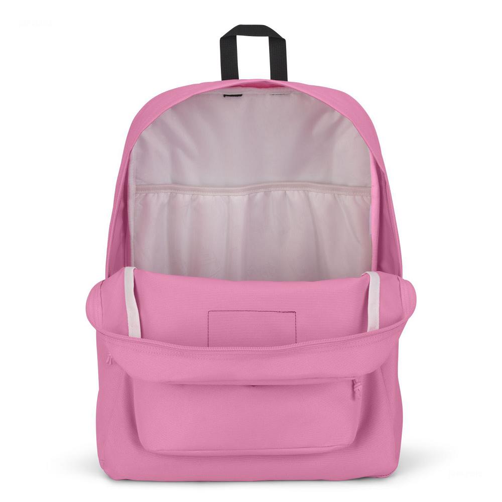 Pink JanSport SuperBreak® Plus Laptop Backpacks | IL_JS196