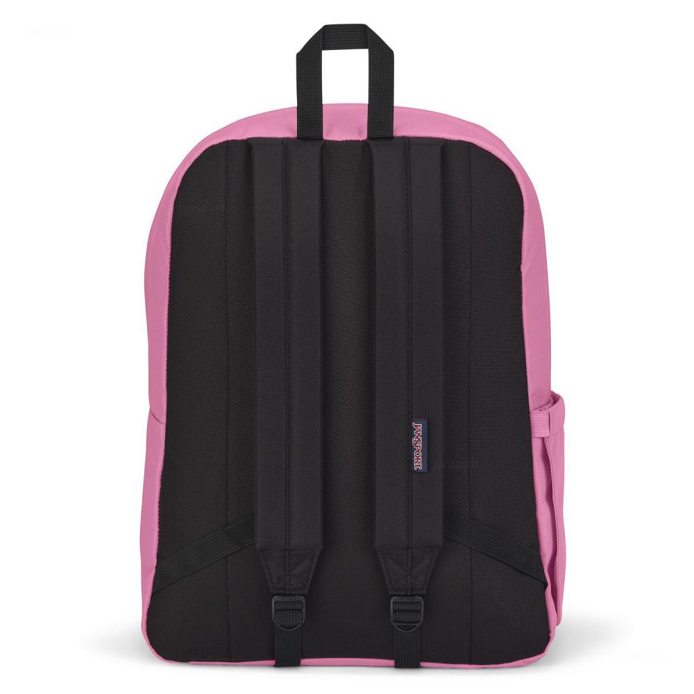 Pink JanSport SuperBreak® Plus Laptop Backpacks | IL_JS196