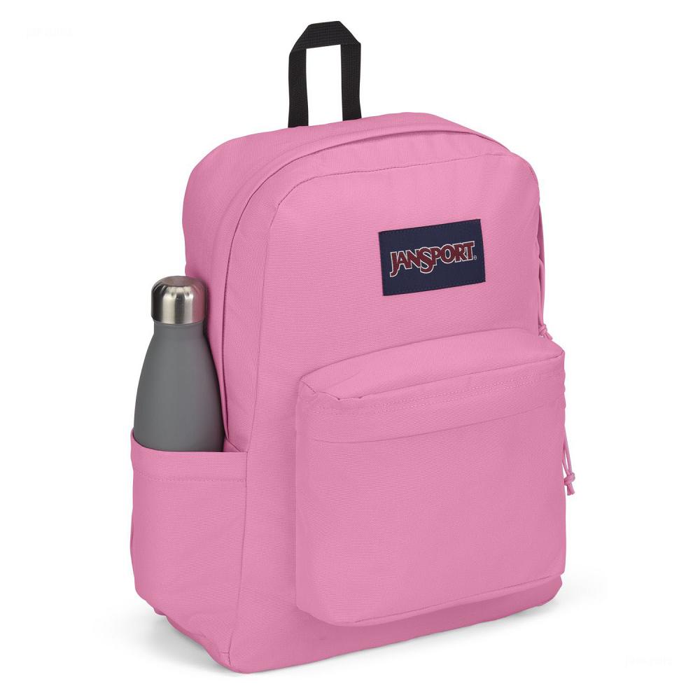 Pink JanSport SuperBreak® Plus Laptop Backpacks | IL_JS196