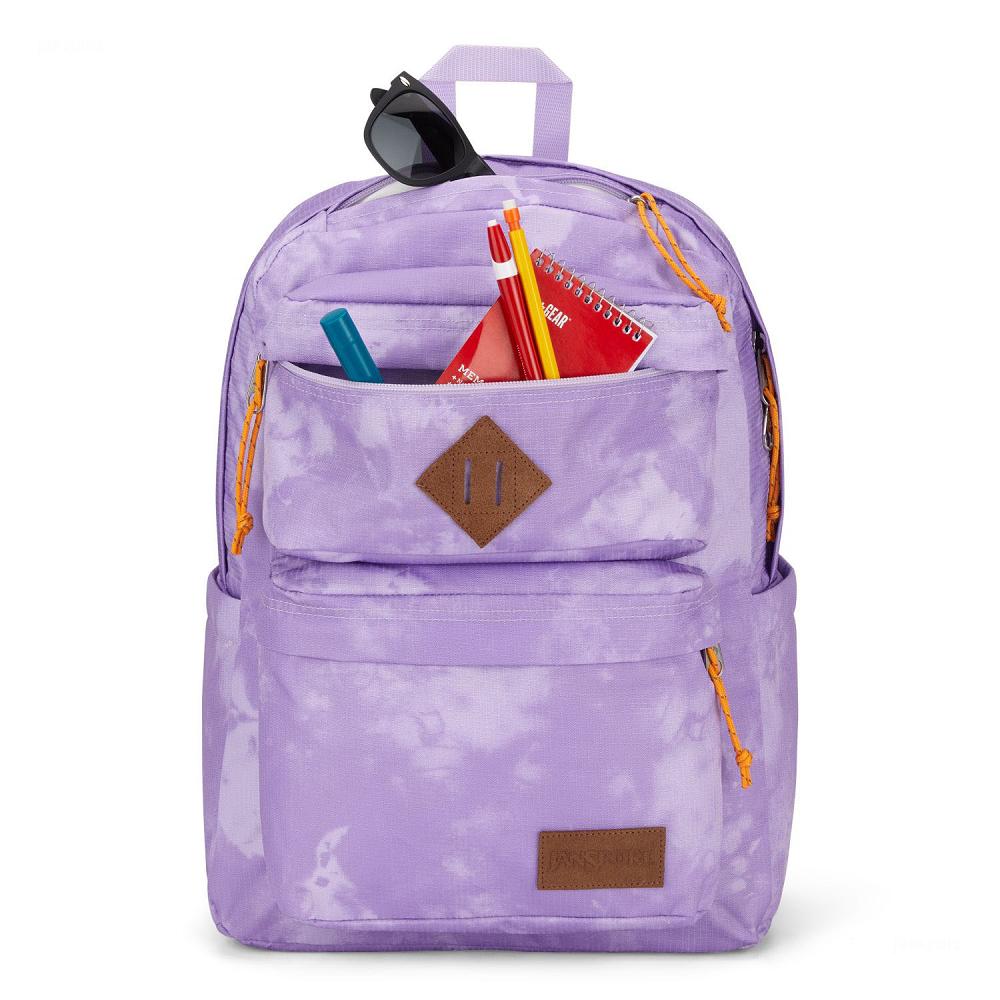 Purple JanSport Double Break Laptop Backpacks | IL_JS056