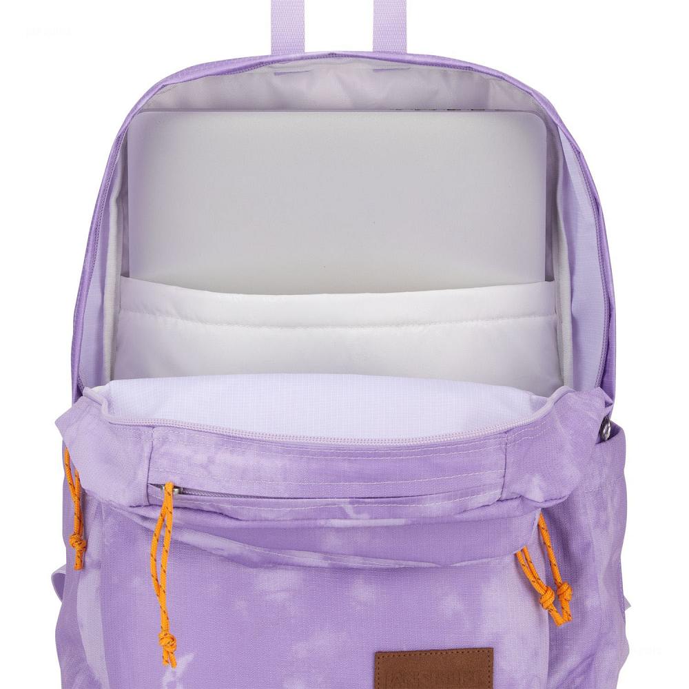 Purple JanSport Double Break Laptop Backpacks | IL_JS056