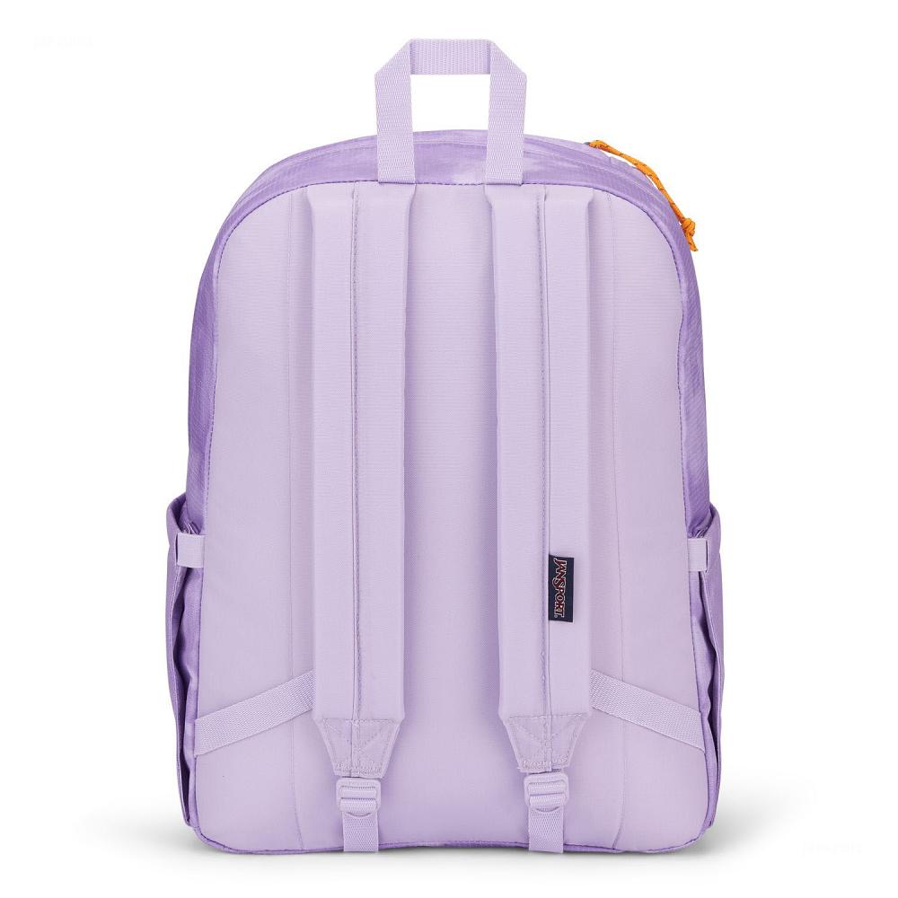 Purple JanSport Double Break School Backpacks | IL_JS114