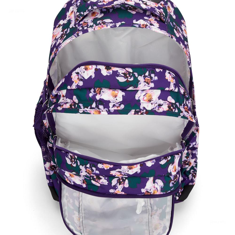 Purple JanSport Driver 8 Rolling Backpacks | IL_JS09B