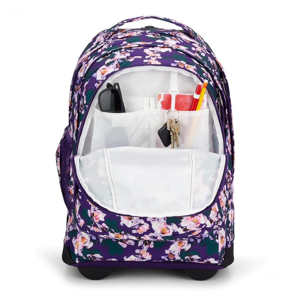 Purple JanSport Driver 8 Rolling Backpacks | IL_JS09B