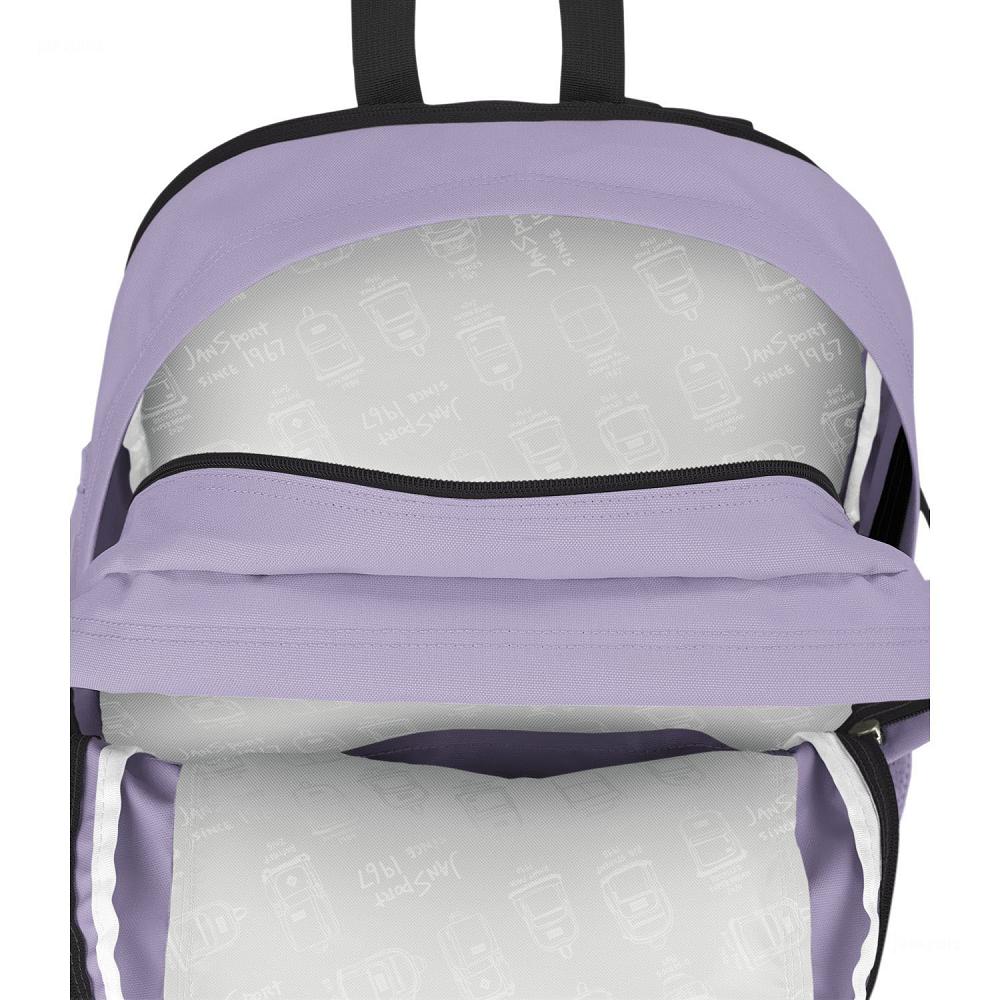 Purple JanSport Main Campus Laptop Backpacks | IL_JS177