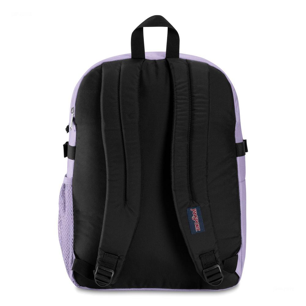 Purple JanSport Main Campus Laptop Backpacks | IL_JS177