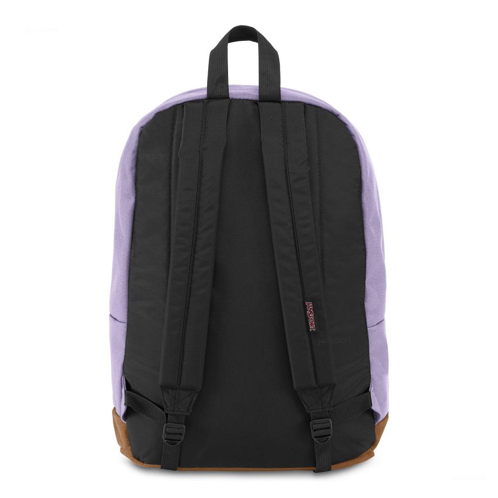 Purple JanSport Right Pack School Backpacks | IL_JS533