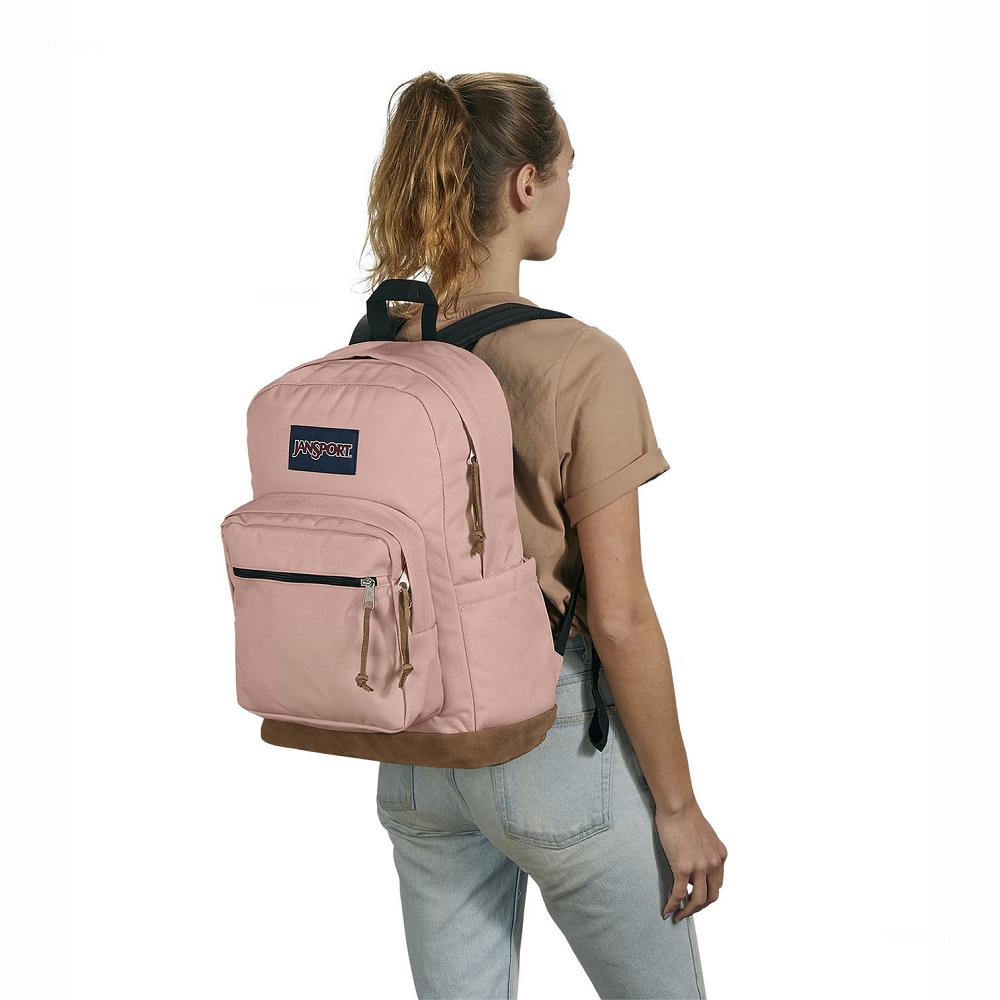 Rose JanSport Right Pack Laptop Backpacks | IL_JS193