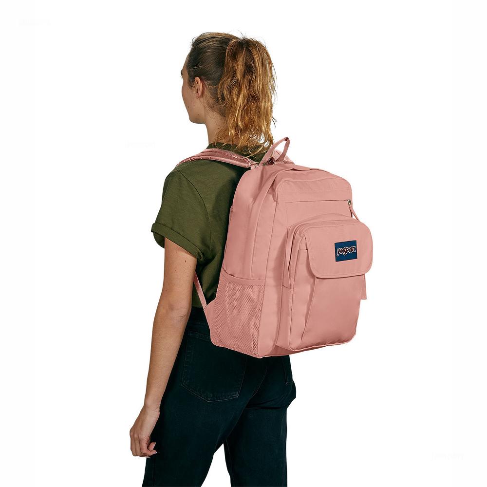 Rose JanSport UNION PACK Laptop Backpacks | IL_JS499