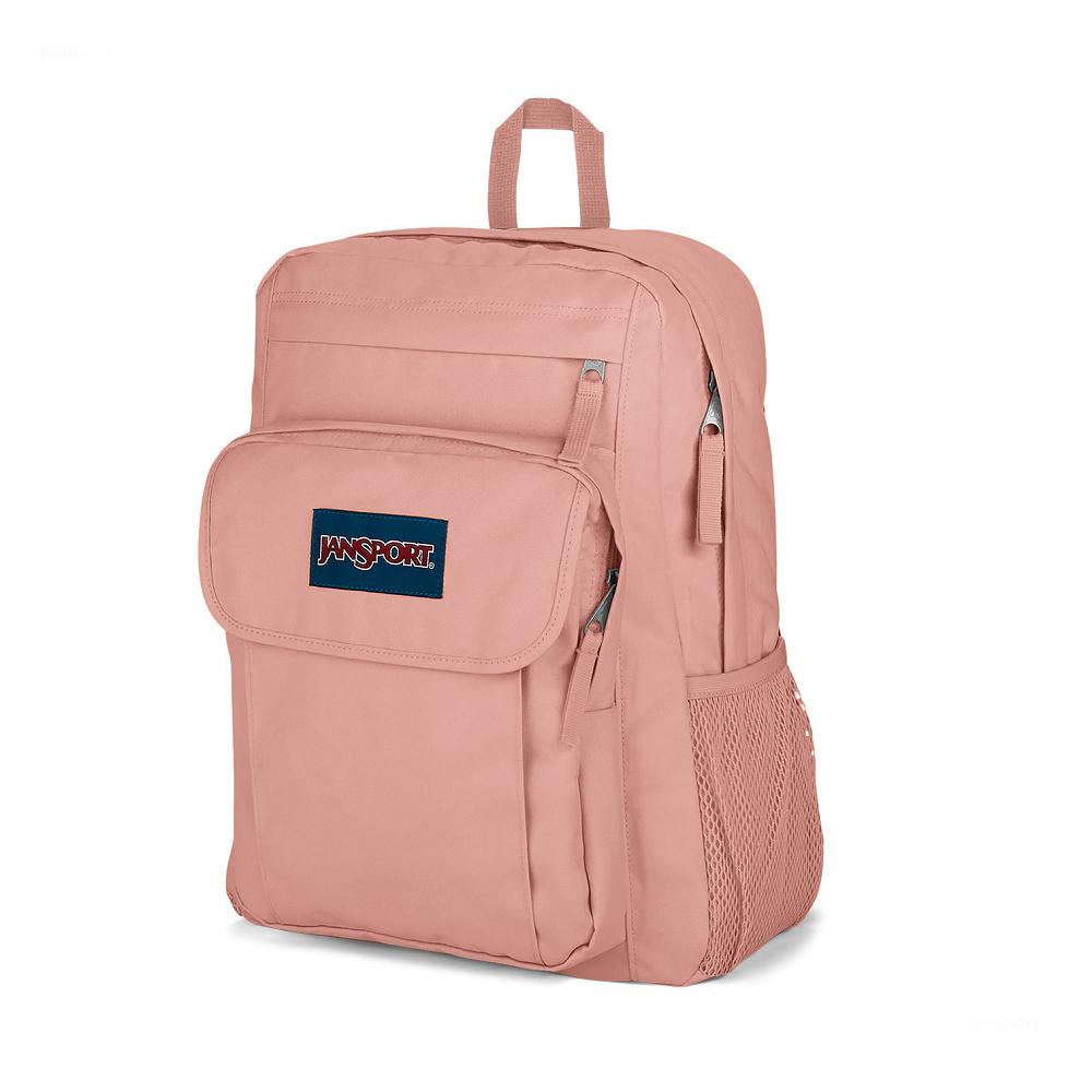 Rose JanSport UNION PACK Laptop Backpacks | IL_JS499