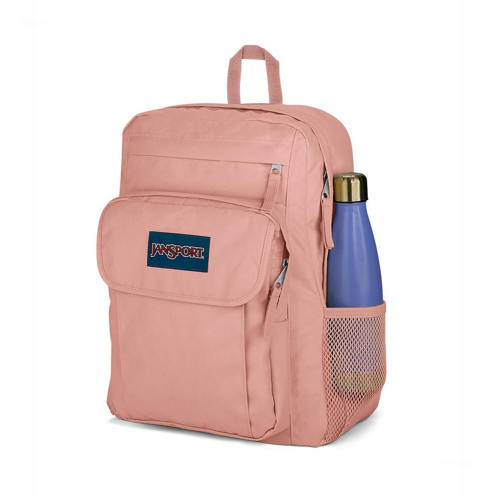 Rose JanSport UNION PACK Laptop Backpacks | IL_JS499