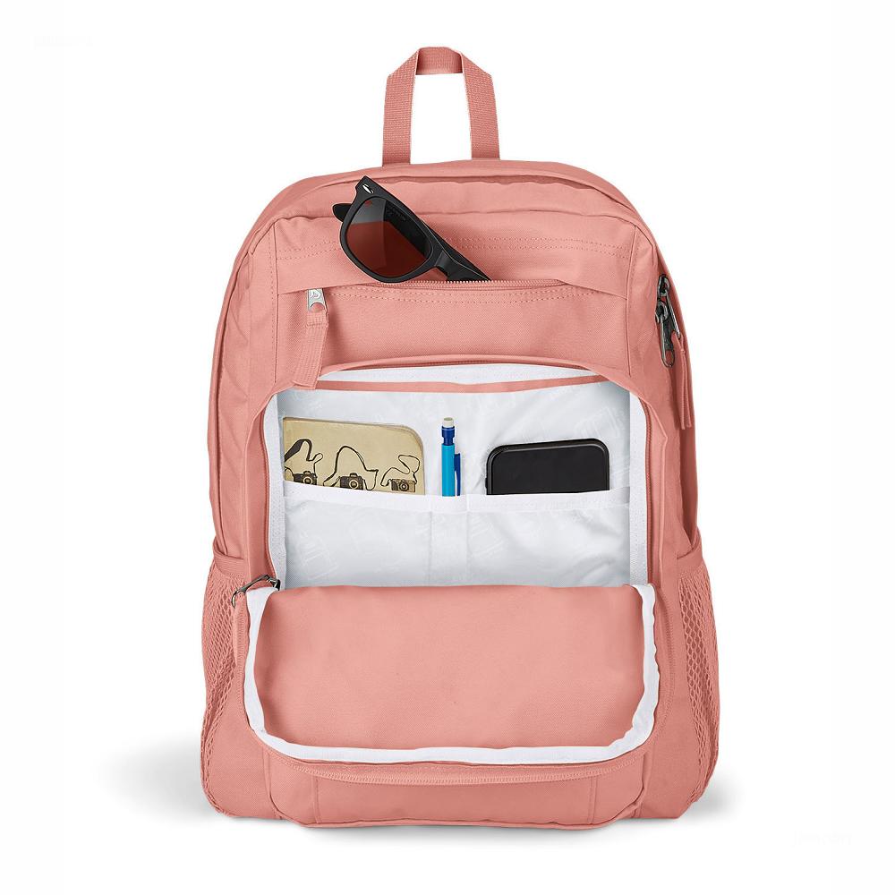 Rose JanSport UNION PACK Laptop Backpacks | IL_JS499